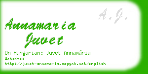 annamaria juvet business card
